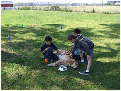 The Role of Animal Assisted Intervention on Improving Self-Esteem in Children With Attention Deficit/Hyperactivity Disorder